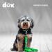 Ddoxx Nylon Dog Leash 2m - Dual Leash for Small & Large Dogs | Durable 3-Fold Design | Perfect for Walking Running & Training - Buy Online on GoSupps.com