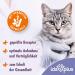 Ida Plus Renal Care Mini Sticks for Cats - Supports Kidney Health & Urine Excretion - 80 pcs - Phosphate & Uremic Toxin Control - Buy Online on GoSupps.com