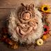 M&G House Newborn Photography Props Lion Costume Baby Photo Shoot Accessories Fits 0-2 Months(Lion Outfit) 01 Lion Outfit