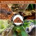 Riare 2 Pack Natural Coconut Earth Substrate for Reptiles - Humus Litter for Turtles Snakes Scorpions & Spiders - 2 x 650g - Buy Online on GoSupps.com
