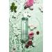 Caudalie Vinoclean Moisturizing Toner with Rose Water 6.76 Fl Oz - Hydrating Facial Toner - Buy Online on GoSupps.com