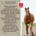Buy Emma MSM Horse Joint Liquid 1L - High-Dose MSM Glucosamine & Chondroitin for Healthy Joints & Movement | International Shipping Available - Buy Online on GoSupps.com