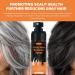 Herbal Gray Hair Reverse Spray | Smoothing Darkening & Growth Serum for Thinning Hair | Polygonum Multiflorum Conditioner for Men & Women - Buy Online on GoSupps.com