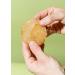 Buy Koro Bio Kombucha SCOBY Premium Quality & Fast International Shipping - Buy Online on GoSupps.com