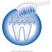 Proficare PC-EZS 3000 Electric Sound Toothbrush | Optimal Dental Care & Oral Hygiene | Includes 2 Butsiessents | Battery Operated | White-Blue - Buy Online on GoSupps.com