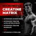 NAR LABS Creatine Matrix 300 Grams | Natural | Non-GMO | Gluten Free | 60 Servings - Buy Online on GoSupps.com