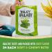 Wiley Wallaby Classic Gourmet Green Apple Licorice - 10 oz Soft & Chewy Australian Candy Twists - Buy Internationally - Buy Online on GoSupps.com