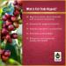 Barrie House Salted Caramel Whole Bean Coffee - 2 lb Bag | Fair Trade Certified Arabica Beans - Buy Online on GoSupps.com