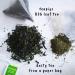 Teapigs Mao Feng Green Tea Bags - Whole Leaf Tea - 15 Tea Bags - Buy Online on GoSupps.com