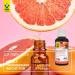 Raab Vitalfood Organic Grapefruit Seed Extract - Vegan Bioflavonoids 50 ml - Certified Raw Material from Southern Europe - Buy Online on GoSupps.com