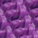 Sweet Sixteen Classic Licorice Ribbon Candy 10 Packs x 125g Sweet Purple Grape Flavor Soft & Chewy Rolls Peanut & Nut-Free Always Fresh - Buy Online on GoSupps.com