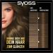 Syoss Oleo Intense Dark Blonde 6-10 Hair Color - Ammonia-Free Permanent Dye with Nourishing Oil (115 ml) - Buy Online on GoSupps.com