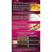 Buy Poly Palette Intensive Cream Coloration - 880 Aubergine Level 3 (Pack of 3) - International Shipping Available - Buy Online on GoSupps.com