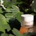 emerginC Protocell Anti-Aging Face Cream - Bio-Active Plant Stem Cell & Hyaluronic Acid Moisturizer | Reduce Fine Lines & Wrinkles (1.7 oz 50 ml) - International Shipping Available - Buy Online on GoSupps.com