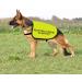 Social Anxiety Dog Jacket Vest Selectively Social Do Not Pet Dog Vest Dog Walking Slogan Warning Vest (Selectively Social -Medium) - Buy Online on GoSupps.com