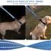 Vivaglory Short Dog Leash - 46 cm Traffic Training Line for Medium & Large Dogs | Durable Blue Leash - Buy Online on GoSupps.com