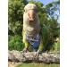 HEZHUO Bird Clothes Parrot diapers bird flight suits reusable waterproof diapers pet bird supplies POLI (M) - Buy Online on GoSupps.com