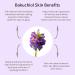 Buy Anti-Aging Bio Retinol 24k Rose Gold Face & Eye Serum - Hyaluronic Acid Bakuchiol & Niacinamide for Dark Circles Fine Lines Wrinkles - 1.0 Fl Oz - International Shipping Available - Buy Online on GoSupps.com