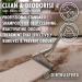 Dirtbusters Carpet Cleaner Shampoo Solution Clean & Deodorise 3-in-1 Cleaning Stain Remove & Odour Treatment Berry Fresh (1L) - Buy Online on GoSupps.com