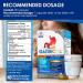 LABO Nutrition GASTRICELL - Natural Treatment for H. Pylori, Acid Reflux & Heartburn - Buy Online on GoSupps.com
