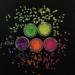 5 Colors Box Set - Holey Flowers Glitter for Festival Makeup Body Art & Holiday Decor - Buy Online on GoSupps.com