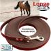 Buy Bio-Line Lunge Softlone - 16mm Wide Biothane Horse Lunging Line with Hand Loop - 5m Dark Brown for Equestrian Sport - Buy Online on GoSupps.com