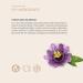 Bodhi Bath Foam Flower Mix 180ml | Organic & Vegan Relaxation & Wellness - Buy Online on GoSupps.com