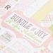 Echo Park Paper Company Bundle of Joy Girl 2 Collection Kit - Perfect for Scrapbooking and Crafts - Buy Online on GoSupps.com