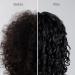 Freewill Curl Moisture Replenishing Co-Wash - 8.5 oz | Best Curl Co-Wash for Hydrated Defined Curls - Shop Internationally - Buy Online on GoSupps.com