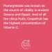 Petal Fresh Pure Body Butter - Firming Pomegranate & Grapefruit 8 oz | Nourishing & Hydrating - Buy Online on GoSupps.com