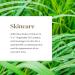 Buy Vetiver Essential Oil by Young Living - 5ml | Topical & Aromatic | International Shipping - Buy Online on GoSupps.com