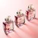 Escada Celebrate N.O.W. Eau de Parfum for Women Eau de Parfum 30 ml (Pack of 1) - Buy Online on GoSupps.com