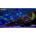 Kraken Reef UV Coral Viewing Glasses - Enhance Your Underwater Exploration - Buy Online on GoSupps.com
