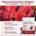 Astaxanthin 12mg 120 Softgels Premium Astaxanthin Antioxidant Supplements with Antioxidant Activity Supports Eye Skin Joint & Immune System Health Fresh Microalgae Source Non-GMO & No Gluten - Buy Online on GoSupps.com