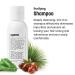 Shop Blu Atlas Travel Kit - Travel Size Shampoo & Conditioner for Men & Women - TSA Approved | Bestsellers - Buy Online on GoSupps.com