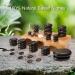 Master Massage Hot Stone Basalt Set 50 Natural Stones in Decorative Bamboo Box | Spa & Relaxation Essentials - Buy Online on GoSupps.com