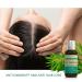 L EUDINE Tea Tree Oil - 1fl Oz Natural Multipurpose Body Oil for Acne Toenail Dandruff & Skin Issues - Made in USA Essential Oil for Refreshing Clothes & Cleaning - Buy Online on GoSupps.com