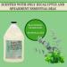 Adams Handmade Eucalyptus Spearmint Foaming Liquid Hand Soap 1 Gallon Refill - 128 Fl Oz - Buy Online on GoSupps.com
