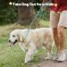 Durable 1.4cm x 150cm Pink Reflective Slip Lead Dog Leash | Adjustable Anti-Choking Training Rope for Small Medium Large Dogs and Cats | Grand Line Slip Lead - Buy Online on GoSupps.com