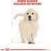 Royal Canin Golden Retriever Puppy Dry Mix 12 kg - Buy Online on GoSupps.com