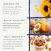 Organic Carrier Oils Set - Sweet Almond, Sunflower, Apricot Kernel - 3 x 100ml Glass Bottles | Absolute Aromas - Buy Online on GoSupps.com