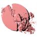 CoverGirl Classic Color Blush Iced Plum(C) 510 0.3oz Pan - Pack of 2 | Long-Lasting Formula - Buy Online on GoSupps.com