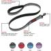 Halti Small Black Dog Leash 1.2m - Premium Nylon with Reflective Neoprene-Padded Handle - Comfortable for Small, Medium & Large Dogs - Buy Online on GoSupps.com