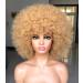 HIHOO Short Afro Wig with Bangs for Black Women Afro Kinky Curly Wig 70s Premium Synthetic Big Afro Wig(Blonde)