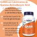 Now Foods GABA 500 mg 100 Vegetable Capsules Laboratory Tested Vitamin B6 Gluten Free Soy Free Vegetarian - Buy Online on GoSupps.com