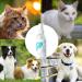 PUCHEN Teeth Cleaning Spray for Pet Pet Teeth Cleaning Spray 60ml - Cleaning Dog Teeth Spray Odors and Freshen Breath for Home Outdoor Travel Use - Buy Online on GoSupps.com