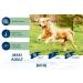 Happy Dog Supreme Fit & Vital Maxi Adult Dry Dog Food for Large Dogs - 4 kg | Premium Nutrition for Optimal Health - Buy Online on GoSupps.com
