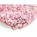 F&P Kids Girls Baseball Cap - Pink Kitty Face, Metal Rings, Adjustable Sizes - Ages 4-9 | Summer Hat for Girls - Buy Online on GoSupps.com