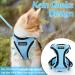 Rabbitgoo Breakproof Cat Dishes & Adjustable Harness Set - Soft Leash & Tableware for Kittens Puppies & Small Pets - Reflective Light Blue (1 Pack) - Buy Online on GoSupps.com