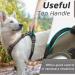 Eagloo Large Dog Harness for Training | Adjustable Anti-Pull Harness with Reflex Strips | Chest Harness for Labrador & Large Breeds | Brown XL (1 Pack) - Buy Online on GoSupps.com